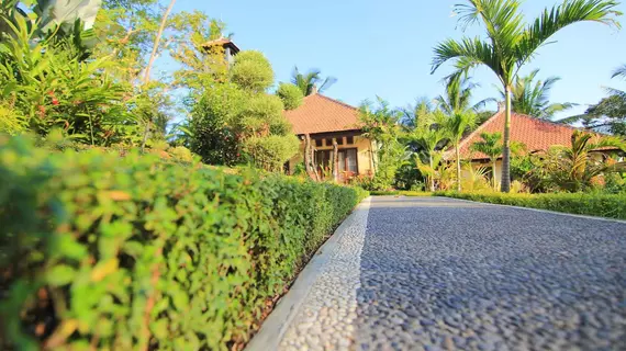 Villa Capung Mas | Bali - Ubud