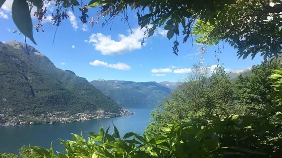 B&B Le Ortensie | Lombardy - Como (il) - Faggeto Lario