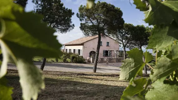 Pietra del Diavolo | Toskana - Siena (vilayet) - Montepulciano