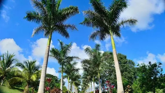 Table Rock Jungle Lodge | Cayo Bölgesi - San Ignacio