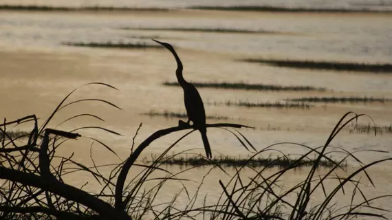 Mahoora Tented Safari Camp - Bundala | Southern Province - Hambantota Bölgesi - Hambantota