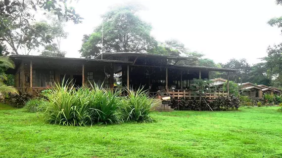 Cano Negro Wetlands Lodge | Alajuela (ili) - Los Chiles