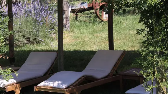 Agriturismo San Gallo | Toskana - Siena (vilayet) - Montepulciano