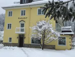 Hotel Lindenhof | Salzburg (eyalet) - Sankt Johann im Pongau - Bad Gastein