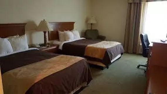 Comfort Inn Rushville | Indiana - Greensburg (ve civarı) - Rushville