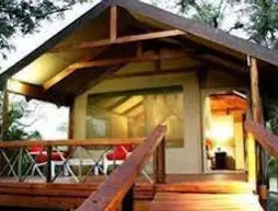 Lion Tree Top Lodge | Limpopo - Maruleng - Hoedspruit