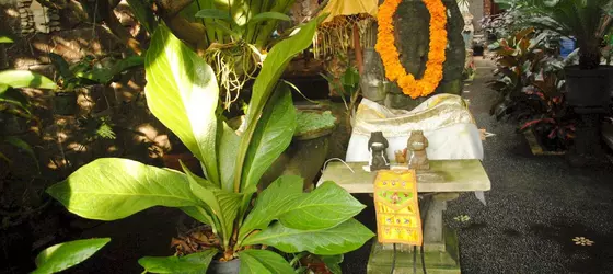 Jangkrik Homestay | Bali - Ubud - Ubud Kent Merkezi