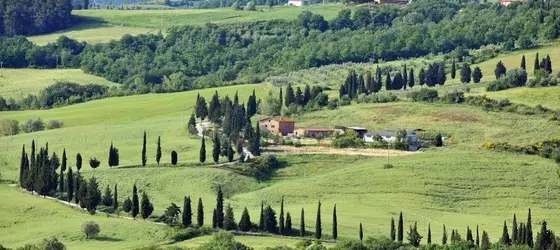 Azienda Agricola Barbi | Toskana - Siena (vilayet) - Pienza