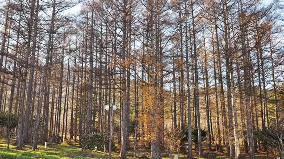 Highland Furano | Hokkaido - Furano