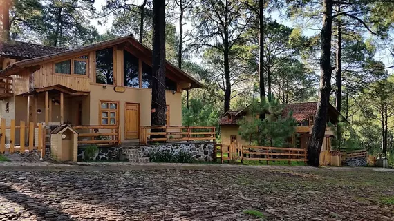 Cabanas Los Abuelos | Jalisco - Guadalajara (ve civarı) - Mazamitla