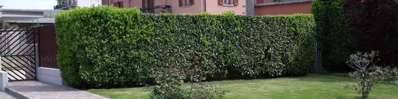 B&B L'Olimpo | Lombardy - Bergamo - Bergamo (ve civarı) - Bergamo