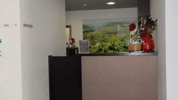 Hotel Folgosa Douro | Centro - Viseu Bölgesi - Armamar