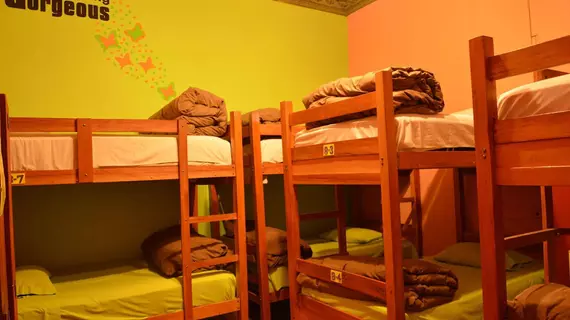 Bunkie Hostel | La Paz - La Paz (ve civarı) - La Paz