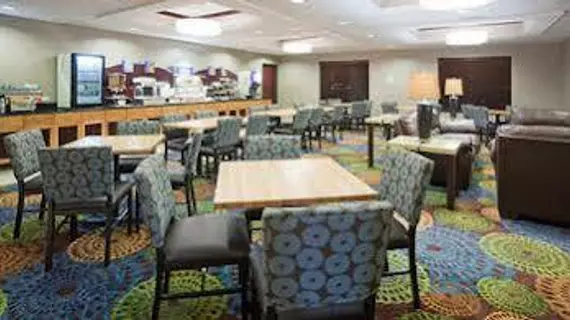 Holiday Inn Express and Suites Rochester West-Medical Center | Minnesota - Rochester (ve civarı) - Rochester