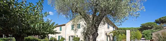 Hôtel La Figuière | Provence - Alpes - Cote d'Azur - Var - Sainte-Maxime - Saint-Tropez (ve civarı) - Ramatuelle