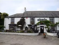 The White Hart