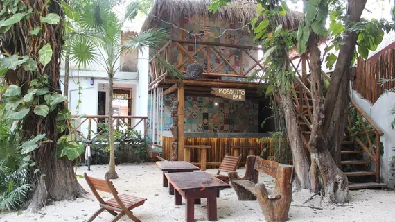 Hostal MX | Quintana Roo - Solidaridad - Playa del Carmen