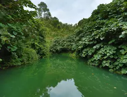 Rivulet resort | Kerala - Idukki Bölgesi - Devikolam - Chithirapuram