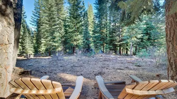 Lucky Tree Cabin | Kaliforniya - Lake Tahoe (ve civarı) - Truckee