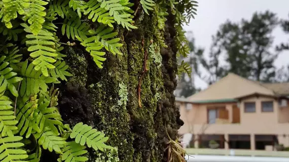 Bosque de Bohemia - Hostería & Restaurante | Buenos Aires (ili) - Primera Sección