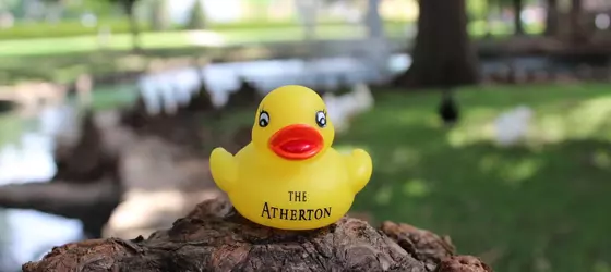 THE ATHERTON AT OSU | Oklahoma - Stillwater