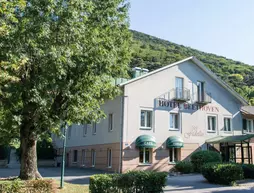 Hotel Beethoven | Lower Austria (Aşağı Avusturya) - Hinterbruhl