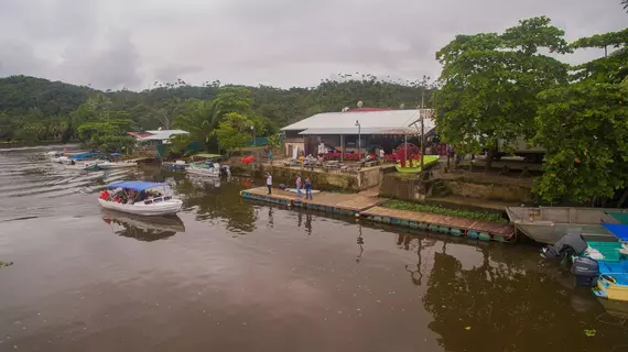 Hotel Oleaje Sereno | Puntarenas (ili) - Sierpe