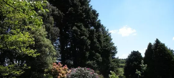 Trimstone Manor Country House | Devon (kontluk) - Ilfracombe