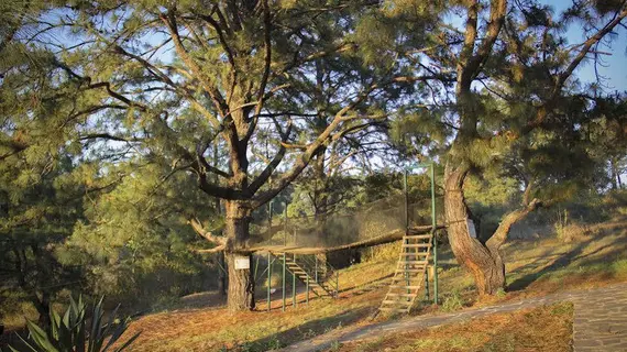 Cabañas Monterra Tapalpa | Jalisco - Guadalajara (ve civarı) - Tapalpa