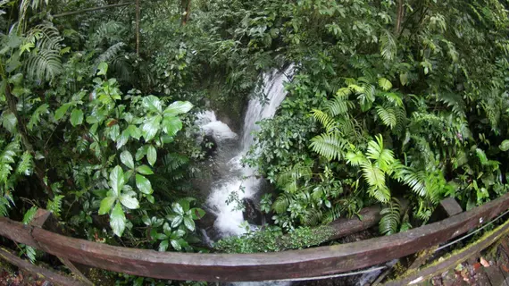 Chachagua Rainforest Eco Lodge | Alajuela (ili) - San Carlos (kantonu) - El Castillo - Chachagua