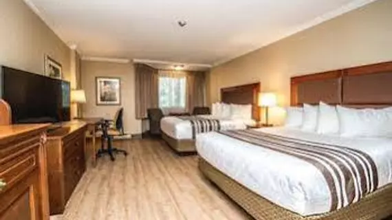 Best Western Plus Ottawa City Centre | Ontario - Ottawa (ve civarı) - Ottawa