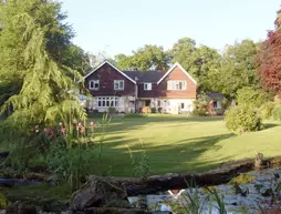 Little Forest Lodge | Hampshire (kontluk) - Ringwood