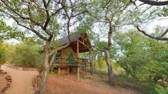 Sausage Tree Safari Camp | Limpopo - Maruleng - Hoedspruit