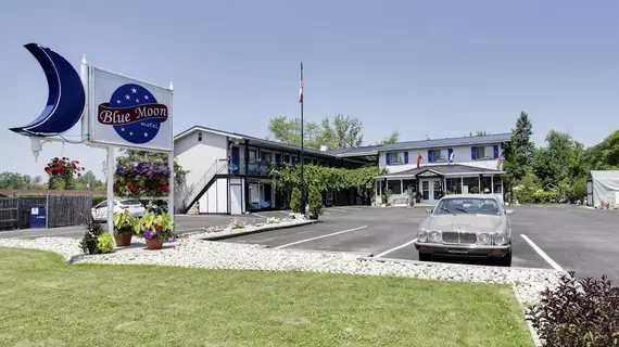 Blue Moon Motel | Ontario - Niagara Regional Belediyesi - Niagara Şelalesi (ve civarı), Kanada - Niagara Şelalesi