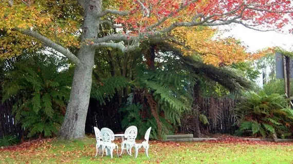 Fairy Springs Motel | Rotorua (ve civarı) - Rotorua