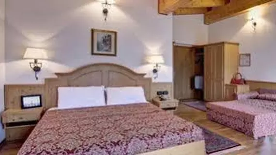 Hotel Des Alpes | Veneto - Belluno (vilayet) - Cortina d'Ampezzo