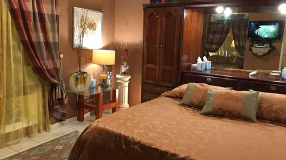 Dickinson Guest House B&B | Jalisco - Guadalajara (ve civarı) - Guadalajara - Chapalita