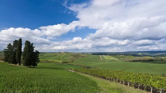 Agriturismo Casale Dello Sparviero | Toskana - Siena (vilayet) - Castellina in Chianti