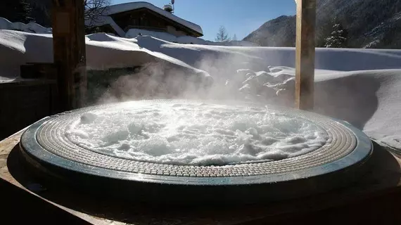 Les Grands Montets | Auvergne-Rhone-Alpes - Haute-Savoie (bölge) - Chamonix-Mont-Blanc