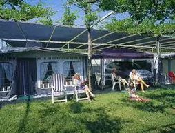 Camping Delfino | Liguria - Savona (il) - Albenga