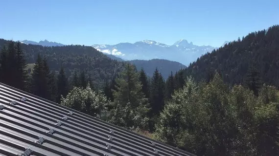 Le Taconet | Auvergne-Rhone-Alpes - Haute-Savoie (bölge) - Taninges