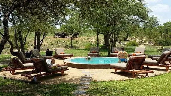 Shindzela Tented Safari Camp | Limpopo - Maruleng - Hoedspruit