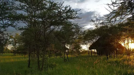 Whistling Thorn Camp | Manyara Bölgesi - Tarangire Ulusal Parkı