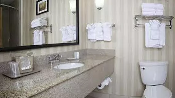 Comfort Suites Tampa Airport North | Florida - Tampa (ve civarı) - Tampa