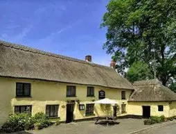 The Pheasant at Neenton | Shropshire (kontluk) - Bridgnorth