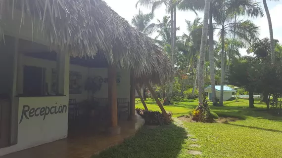 Oasis Hotel Las Terrenas | Samana (ili) - Samana (ve civarı) - Las Terrenas