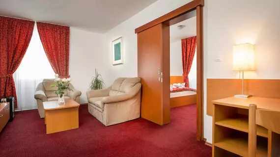 Park Hotel Ljubljana | Ljubljana (ve civarı) - Ljubljana Kent Merkezi