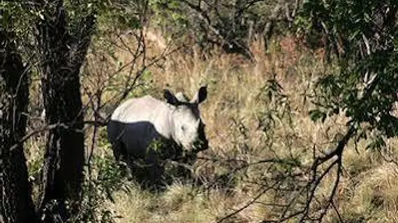 Kwafubesi Tented Camp | Limpopo - Waterberg District - Bela-Bela