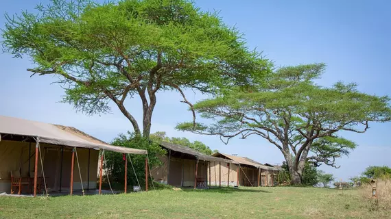 Kisura Serengeti Tented Camp | Serengeti Ulusal Parkı