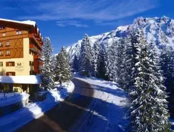 Carlo Magno Hotel Spa Resort | Trentino-Alto Adige - Trento İli - Madonna di Campiglio